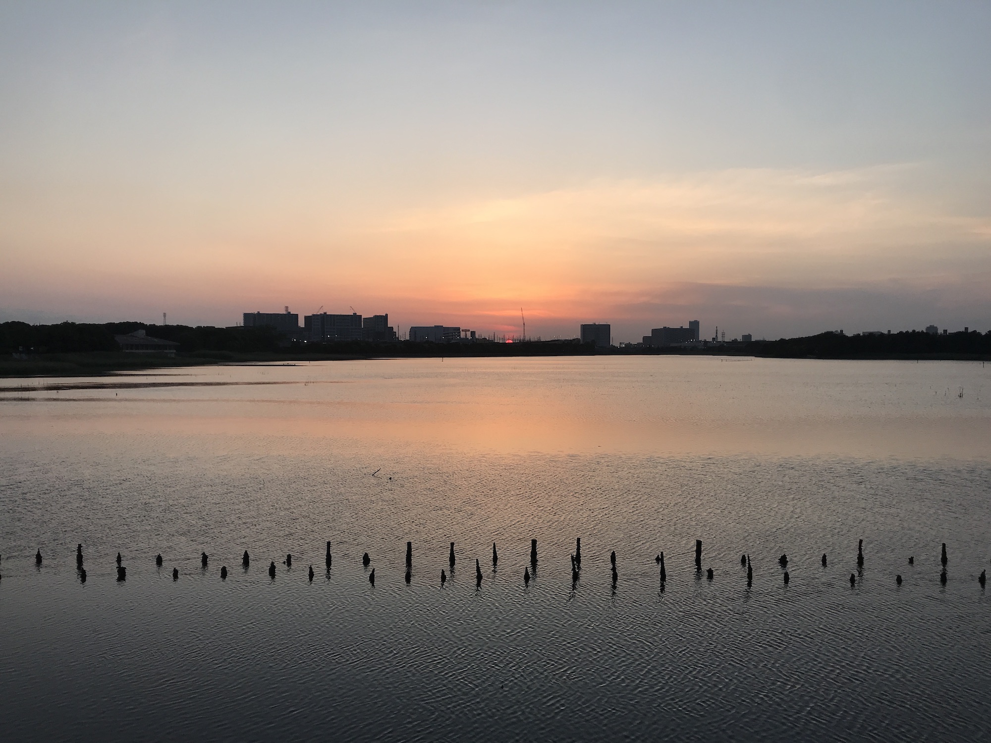 映像をより面白くする！ショットやシーンの構成ってどう決めてくの？