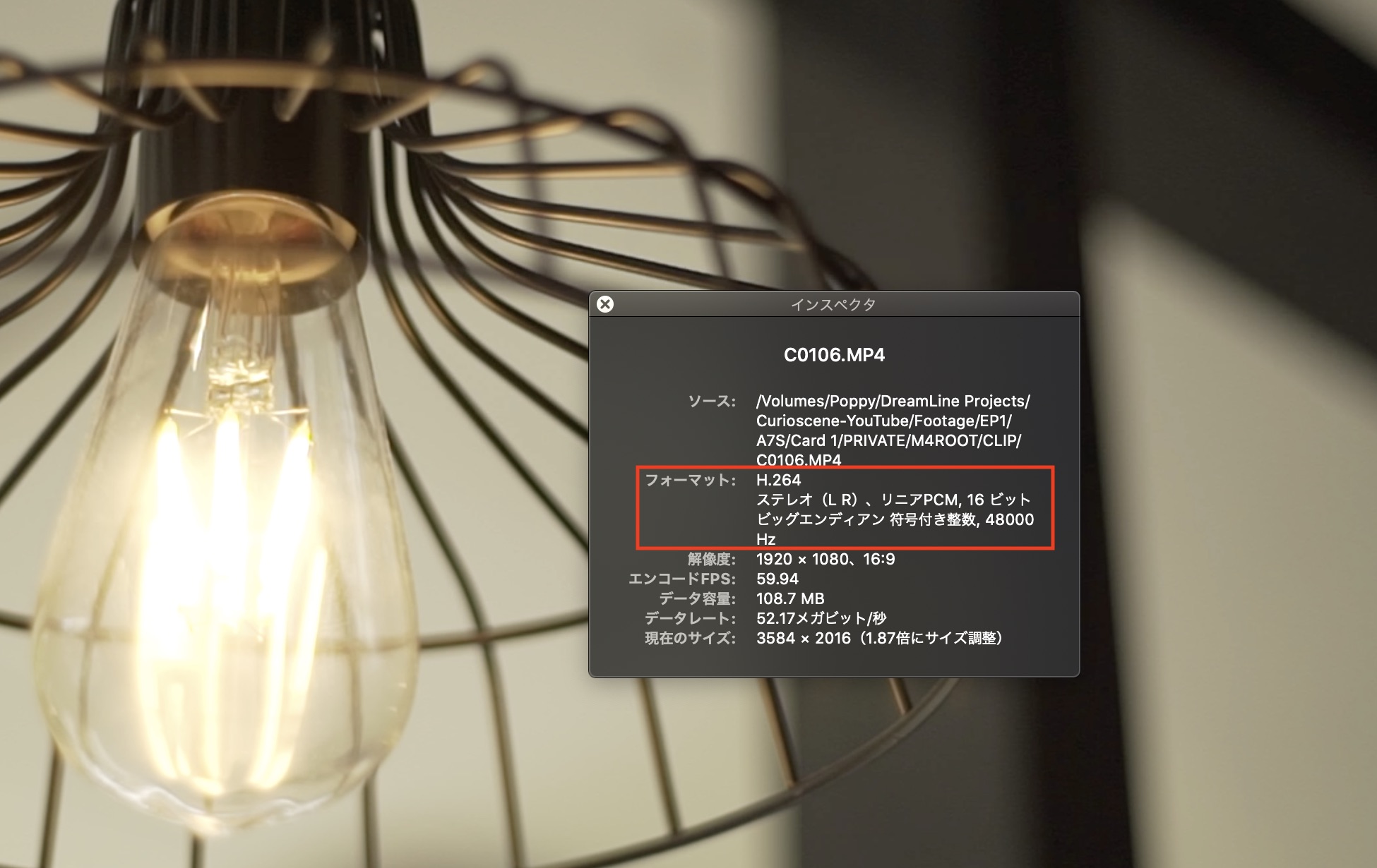 映像を取り扱う際に覚えておきたいビデオコーデック(Video Codecs)ってなんだろう？