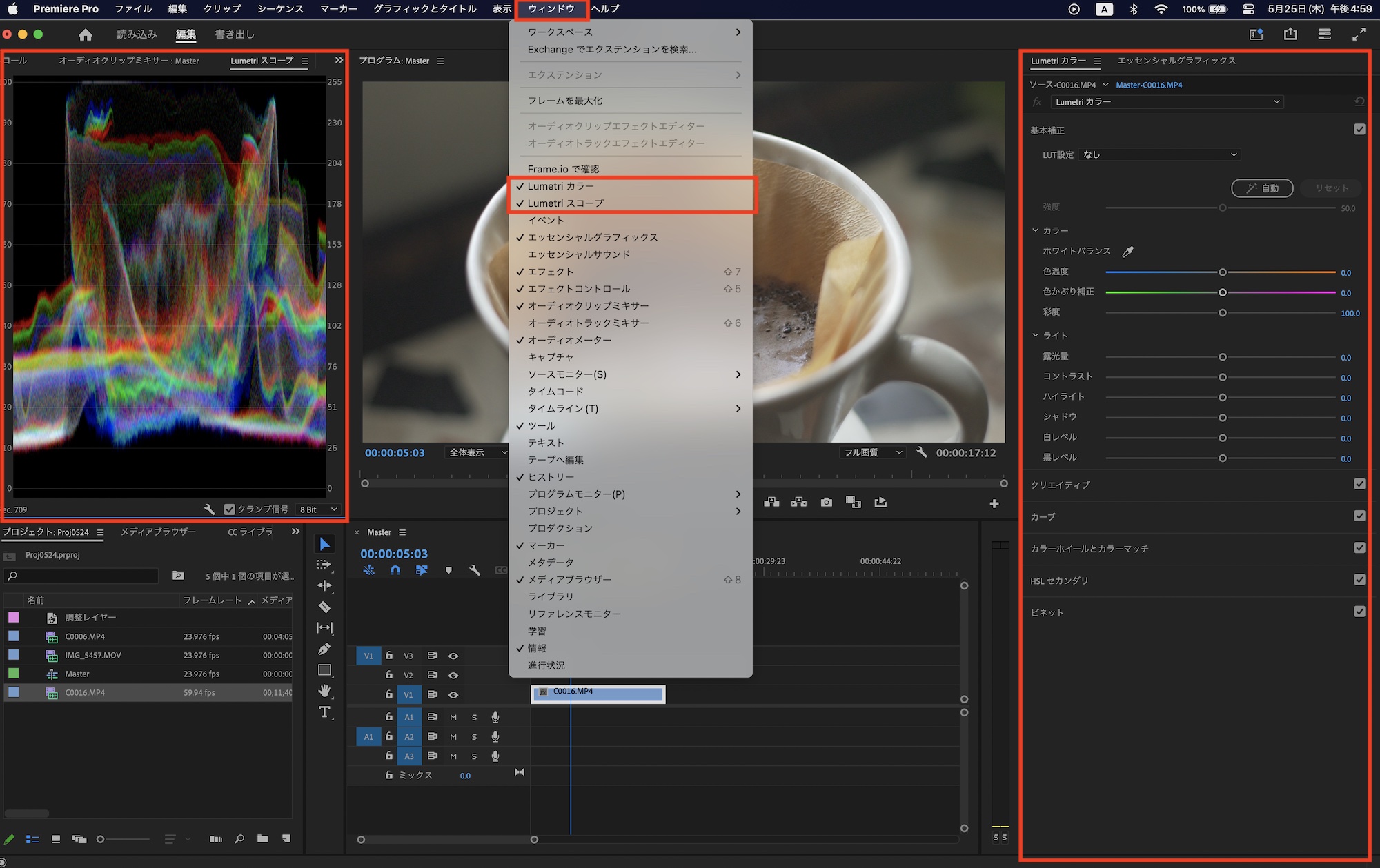 [Premiere Pro] Lumetriカラーの基本補正を使ってクリップの色補正を行ってみよう！